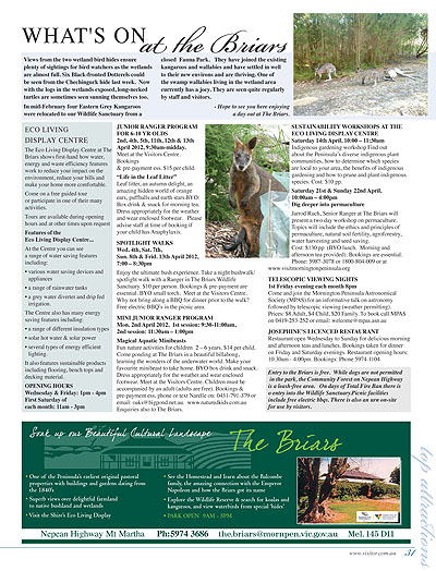Peninsula Visitors Guide - Page 31